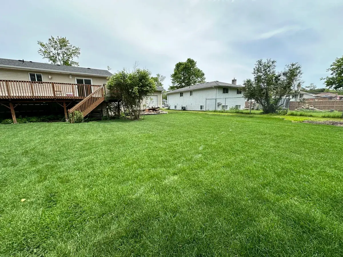 Yard cleaning and landscaping project