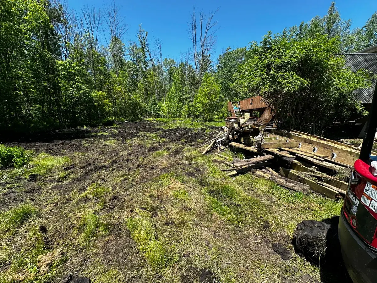 Yard Cleaning photo 3