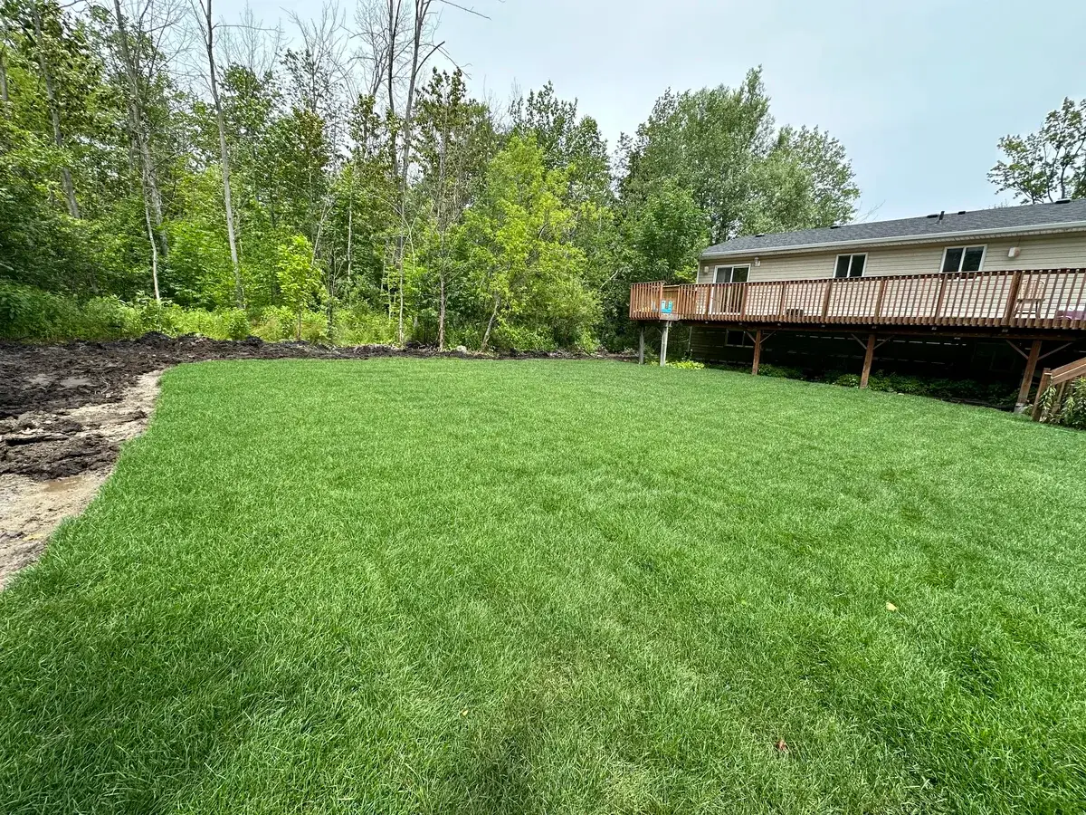 Yard Cleaning photo 4