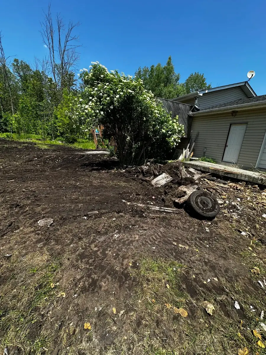 Yard Cleaning photo 6