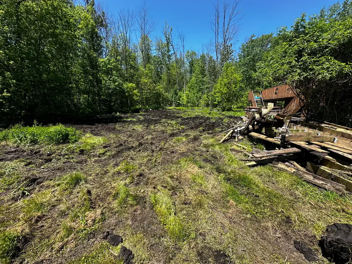 Yard Cleaning photo 9